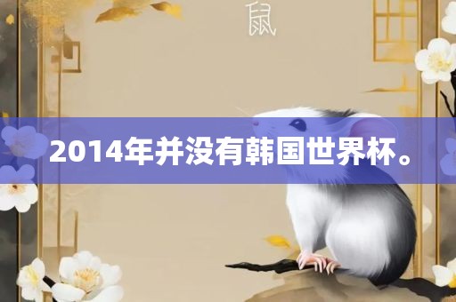2014年并没有韩国世界杯。