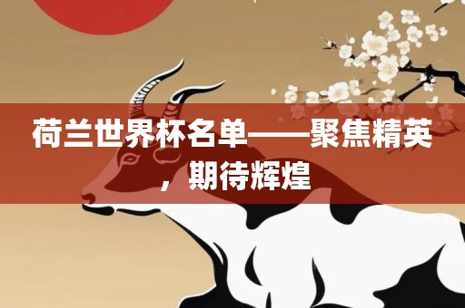 荷兰世界杯名单——聚焦精英，期待辉煌