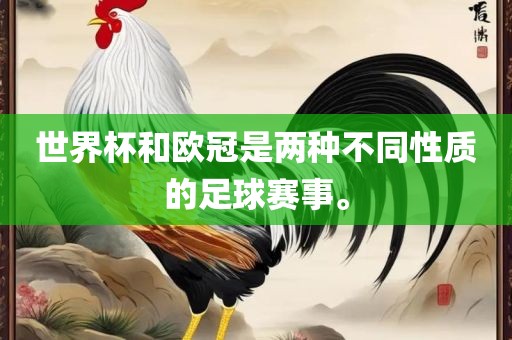 世界杯和欧冠是两种不同性质的足球赛事。
