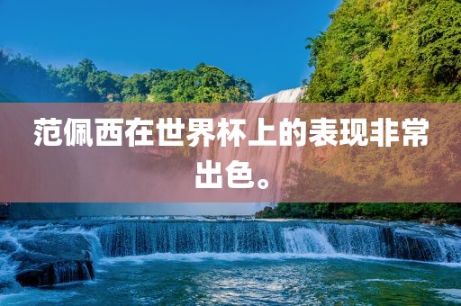 范佩西在世界杯上的表现非常出色。