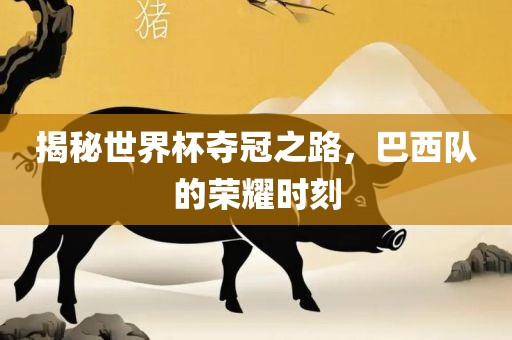 揭秘世界杯夺冠之路，巴西队的荣耀时刻