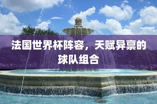 法国世界杯阵容，天赋异禀的球队组合