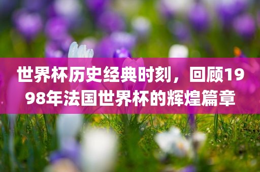 世界杯历史经典时刻，回顾1998年法国世界杯漯河市盈旭机械设备有限公司的辉煌篇章