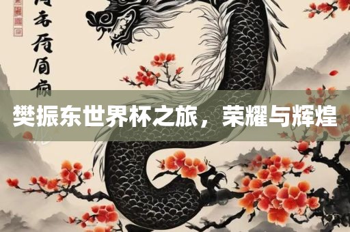 樊振东世界杯之旅，荣耀与辉煌