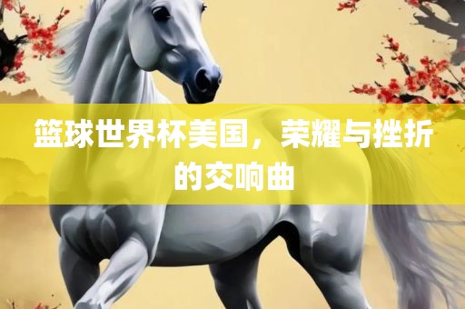 篮球世界杯美国，荣耀与挫折的交响曲