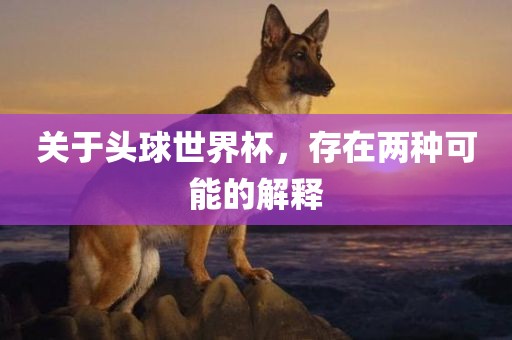 关于头球世界杯，存在两种可能的解释