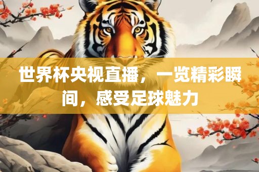 世界杯央视直播，一览精彩瞬间，感受足球魅力