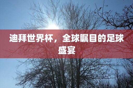 迪拜世界杯，全球瞩目的足球盛宴