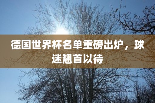 德国世界杯名单重磅出炉，球迷翘首以待