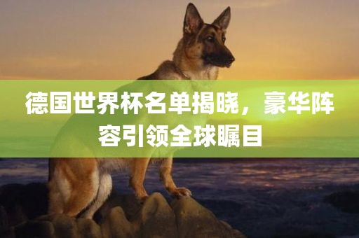 德国世界杯名单揭晓，豪华阵容引领全球瞩目