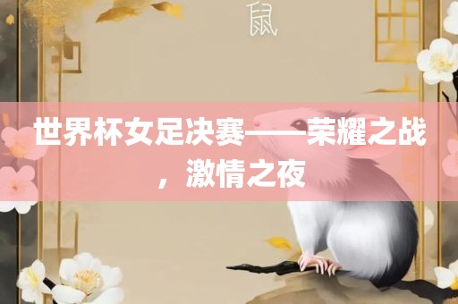 世界杯女足决赛——荣耀之战，激情之夜