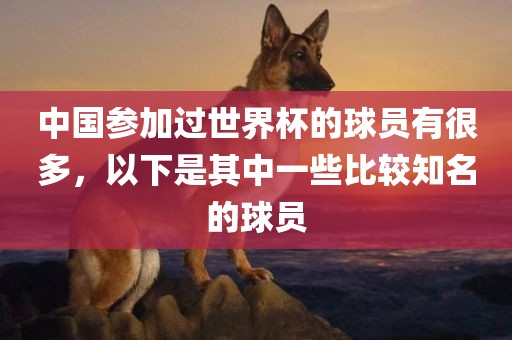 中国参加过世界杯的球员有很多，以下是其中一些比较知名的球员