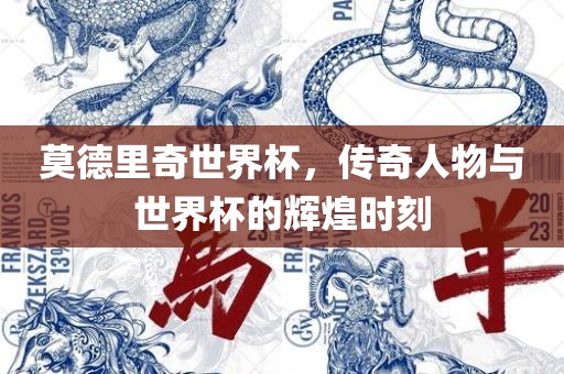 莫德里奇世界杯，传奇人物与世界杯的辉煌时刻