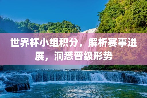 世界杯小组积分，解析赛事进展，洞悉晋级形势