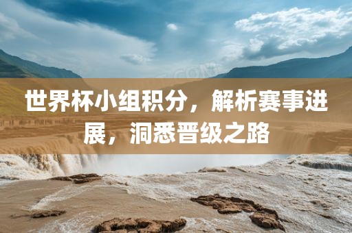 世界杯小组积分，解析赛事进展，洞悉晋级之路