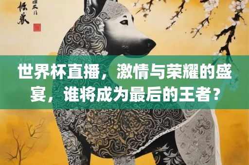 世界杯直播，激情与荣耀的盛宴，谁将成为最后的王者？