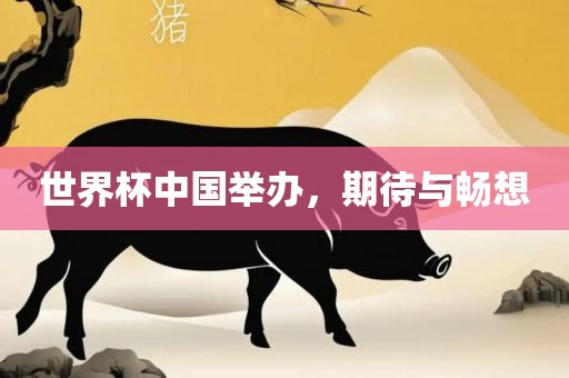 世界杯中国举办，期待与畅想
