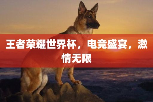 王者荣耀世界杯，电竞盛宴，激情无限