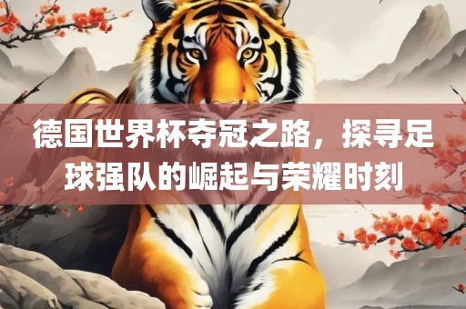 德国世界杯夺冠之路，探寻足球强队的崛起与荣耀时刻