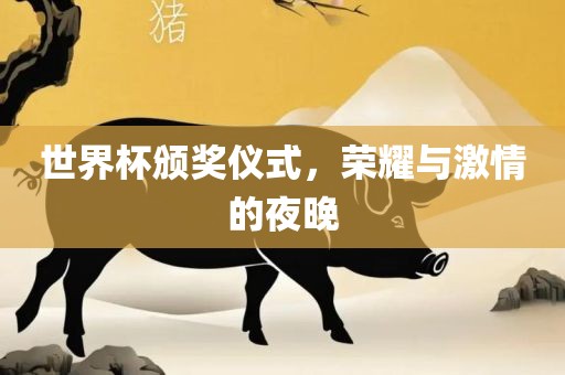 世界杯颁奖仪式，荣耀与激情的夜晚