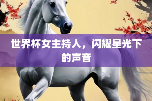 世界杯女主持人，闪耀星光下的声音