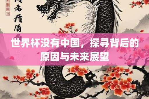 世界杯没有中国，探寻背后的原因与未来展望