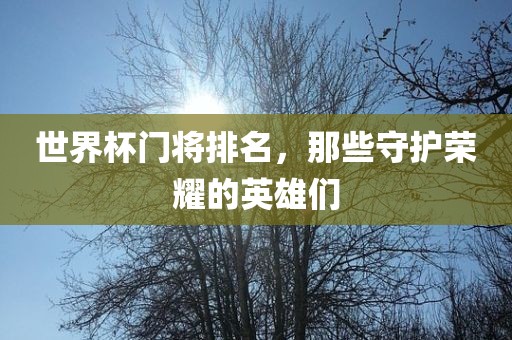 世界杯门将排名，那些守护荣耀的英雄们