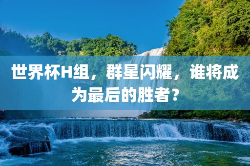 世界杯H组，群星闪耀，谁将成为最后的胜者？