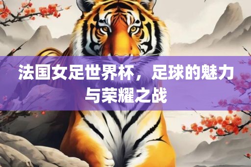 法国女足世界杯，足球的魅力与荣耀之战