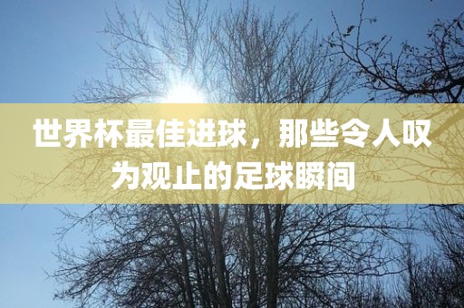 世界杯最佳进球，那些令人叹为观止的足球瞬间
