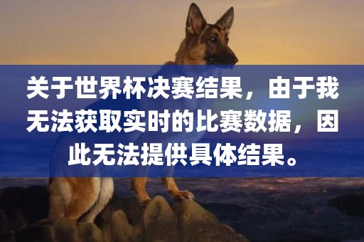 关于世界杯决赛结果，由于我无法获取实时的比赛数据，因此无法提供具体结果。