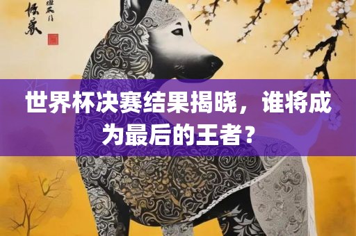 世界杯决赛结果揭晓，谁将成为最后的王者？
