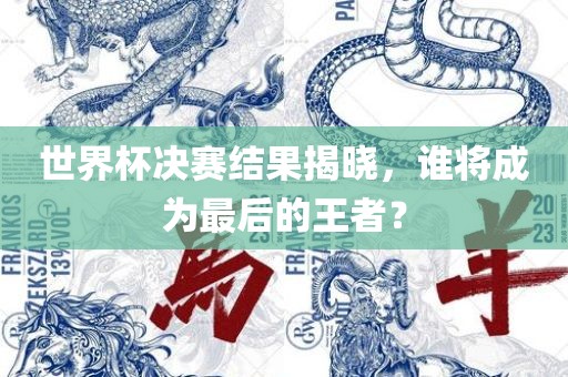 世界杯决赛结果揭晓，谁将成为最后的王者？