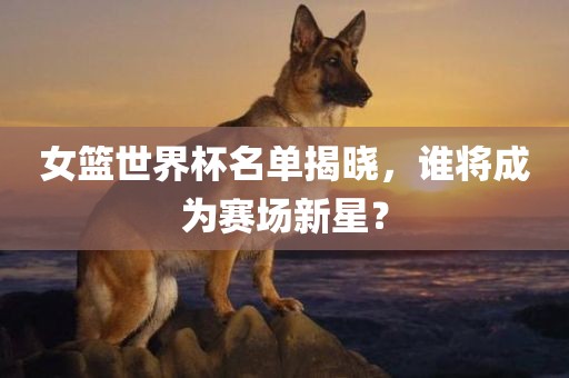 女篮世界杯名单揭晓，谁将成为赛场新星？
