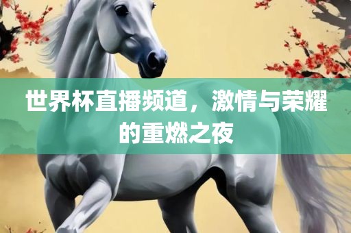 世界杯直播频道，激情与荣耀的重燃之夜