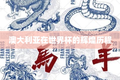 澳大利亚在世界杯的辉煌历程漯河市盈旭机械设备有限公司