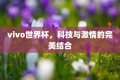 vivo世界杯，科技与激情的完美结合