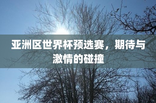 亚洲区世界杯预选赛，期待与激情的碰撞