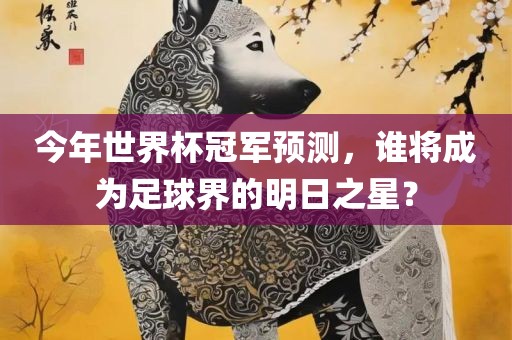 今年世界杯冠军预测，谁将成为足球界的明日之星？