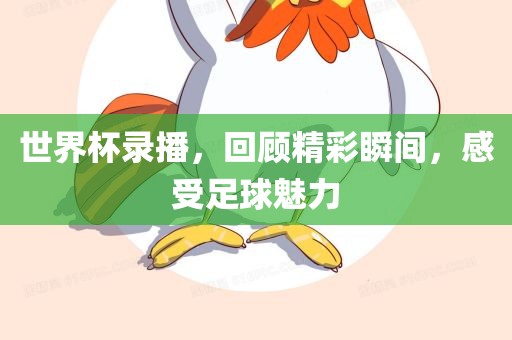 世界杯录播，回顾精彩瞬间，感受足球魅力
