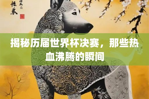 揭秘历届世界杯决赛，那些热血沸腾的瞬间