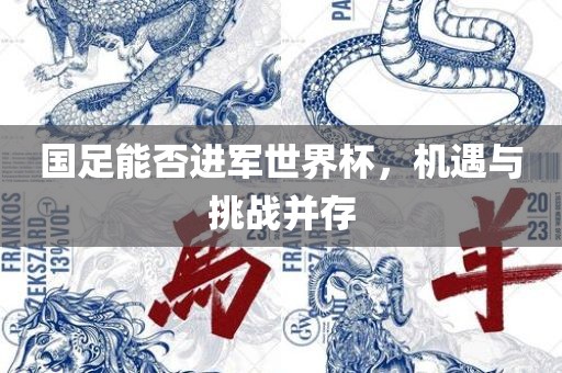 国足能否进军世界杯，机遇与挑战并存