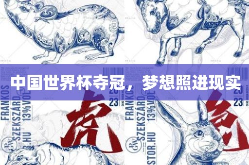 中国世界杯夺冠，梦想照进现实