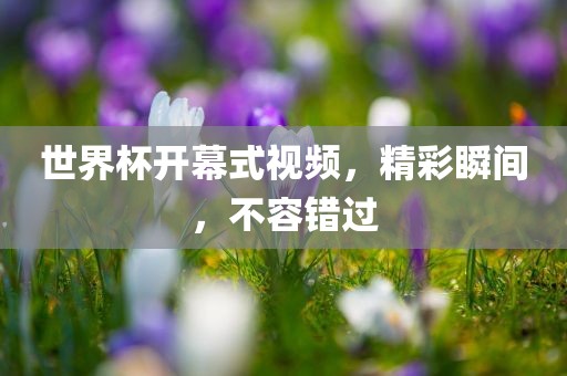 世界杯开幕式视频，精彩瞬间，不容错过