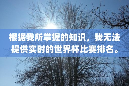 根据我所掌握的知识，我无法提供实时的世界杯比赛排名。