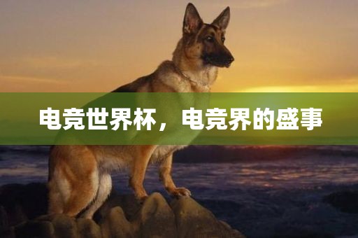 电竞世界杯，电竞界的盛事