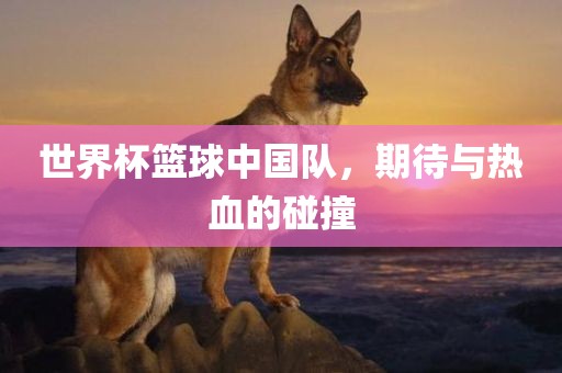 世界杯篮球中国队，期待与热血的碰撞