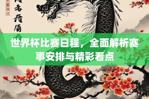 世界杯比赛日程，全面解析赛事安排与精彩看点