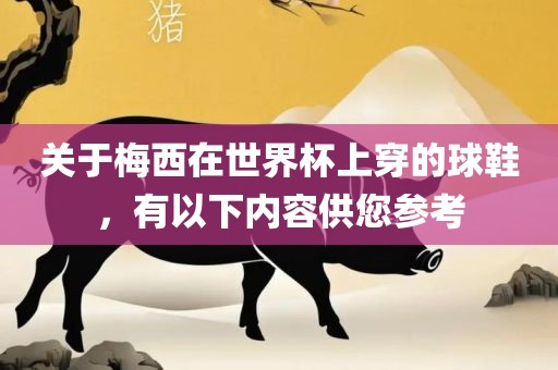 关于梅西在世界杯上穿的球鞋，有以下内容供您参考