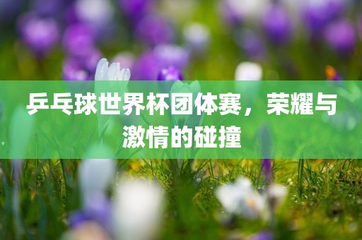 乒乓球世界杯团体赛，荣耀与激情的碰撞